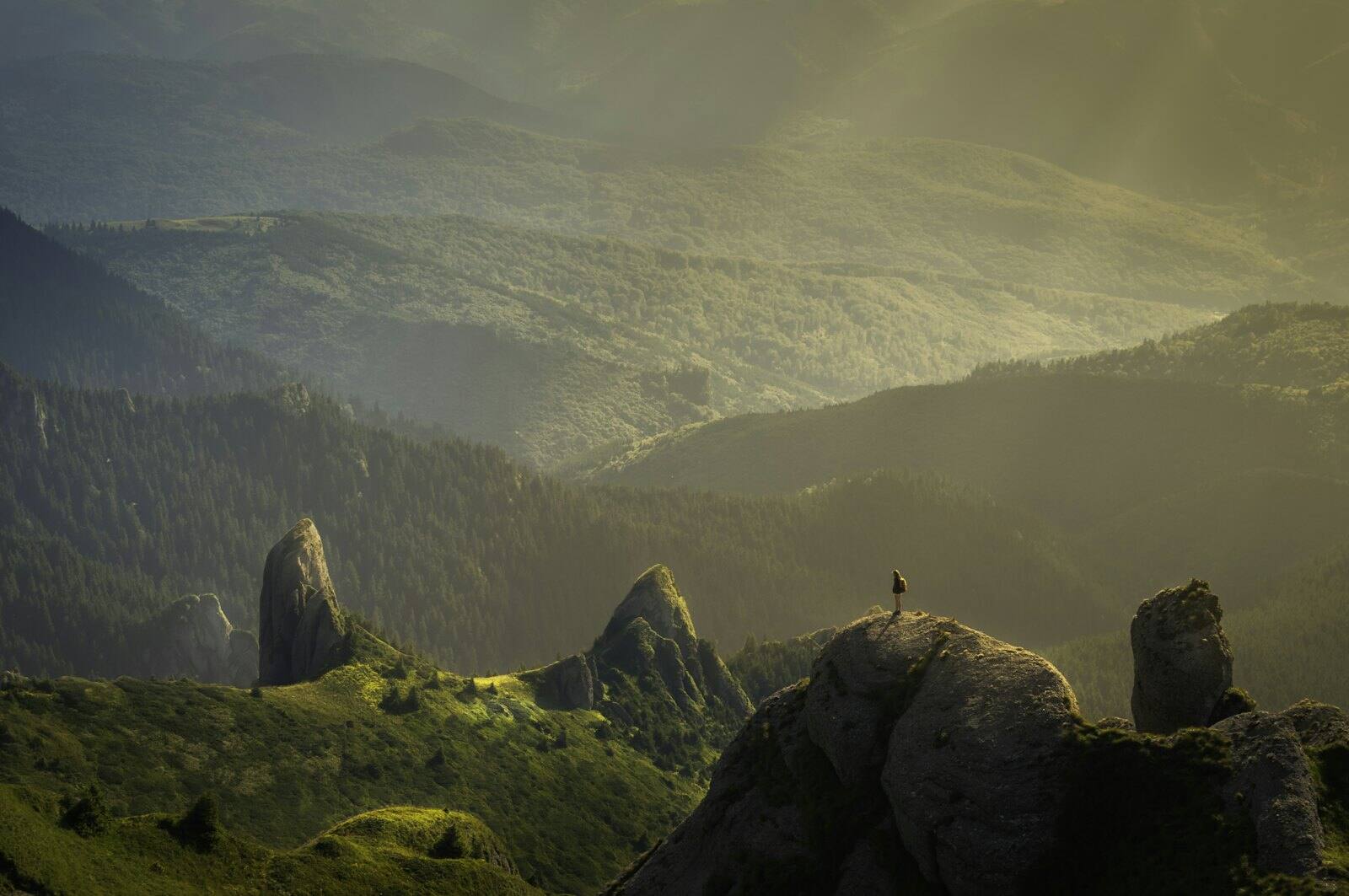 The Colourist establishing frame, a cinematic raw log still